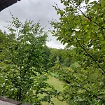Camping Tree House With Private Meadow In The Middle Of The Forest *