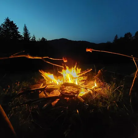Tree House With Private Meadow In The Middle Of The Forest