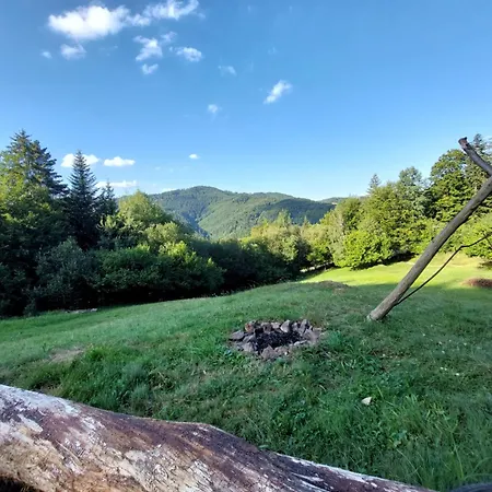 Kemping Tree House With Private Meadow In The Middle Of The Forest *