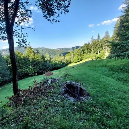 Camping Tree House With Private Meadow In The Middle Of The Forest *