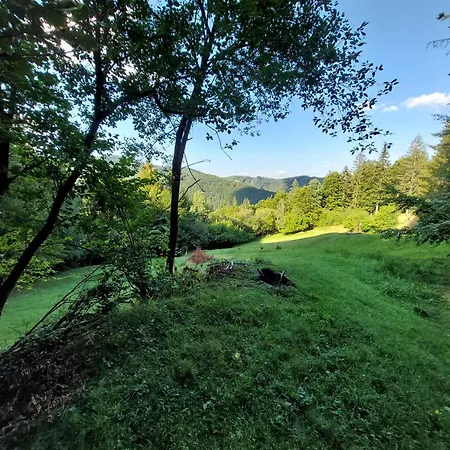 Tree House With Private Meadow In The Middle Of The Forest Camping Bytca