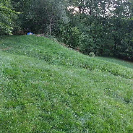 Tree House With Private Meadow In The Middle Of The Forest Bytca