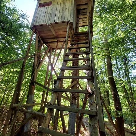 Tree House With Private Meadow In The Middle Of The Forest *