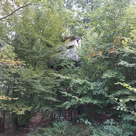 Tree House With Private Meadow In The Middle Of The Forest Bytca