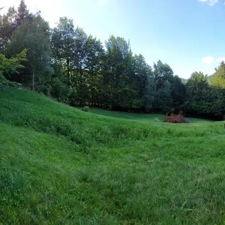 Tree House With Private Meadow In The Middle Of The Forest