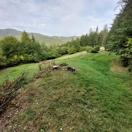 Tree House With Private Meadow In The Middle Of The Forest Bytca