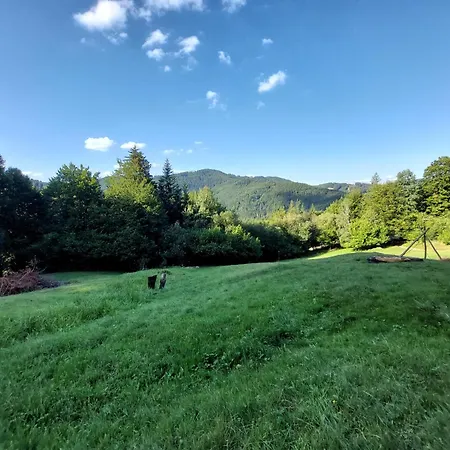Tree House With Private Meadow In The Middle Of The Forest Κάμπινγκ Bytca