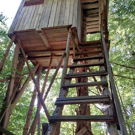 Tree House With Private Meadow In The Middle Of The Forest