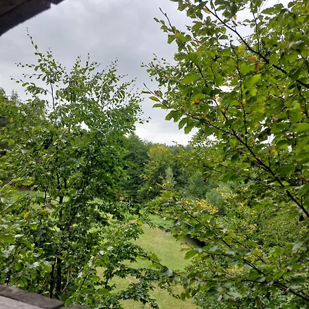 Kemp Tree House With Private Meadow In The Middle Of The Forest *