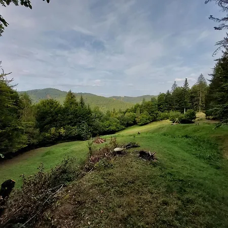 Camping Tree House With Private Meadow In The Middle Of The Forest Bytca