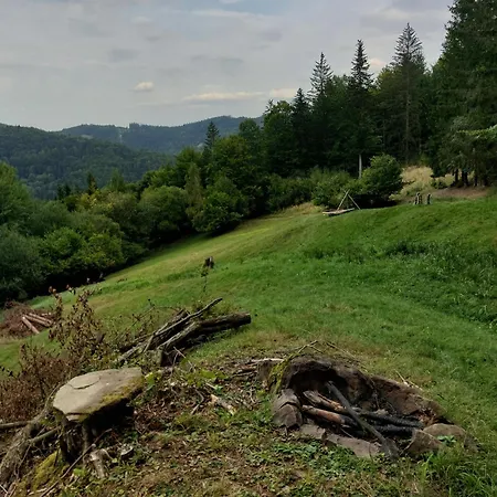 Tree House With Private Meadow In The Middle Of The Forest Camping *