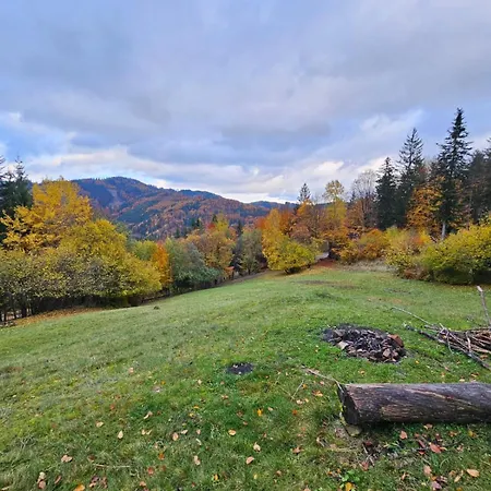 Camping Tree House With Private Meadow In The Middle Of The Forest Bytca