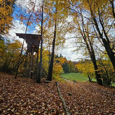 Tree House With Private Meadow In The Middle Of The Forest Camping Bytca
