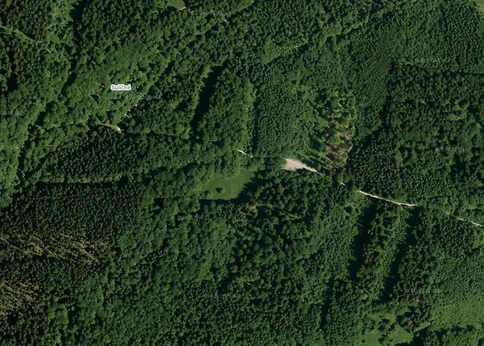 Tree House With Private Meadow In The Middle Of The Forest 营地