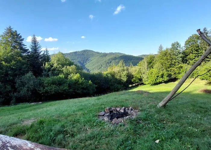 营地 Tree House With Private Meadow In The Middle Of The Forest *