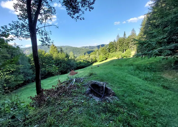 营地 Tree House With Private Meadow In The Middle Of The Forest *