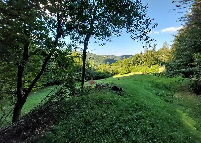 Tree House With Private Meadow In The Middle Of The Forest 营地 Bytca
