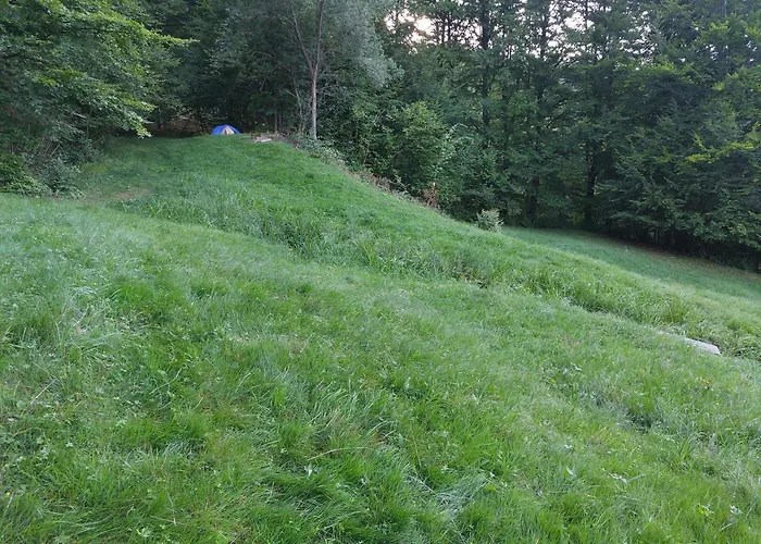 Tree House With Private Meadow In The Middle Of The Forest Bytca