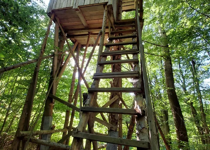 Tree House With Private Meadow In The Middle Of The Forest *