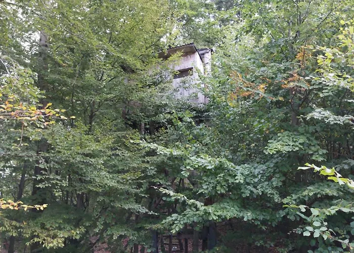Tree House With Private Meadow In The Middle Of The Forest Bytca