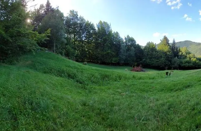 Tree House With Private Meadow In The Middle Of The Forest