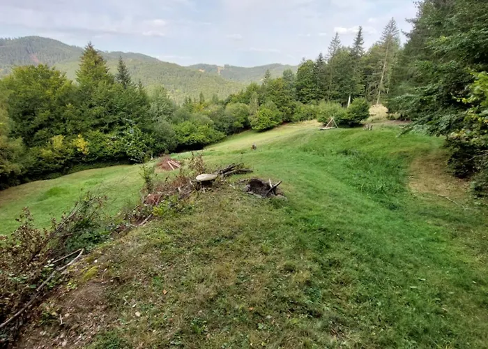 Tree House With Private Meadow In The Middle Of The Forest Bytca