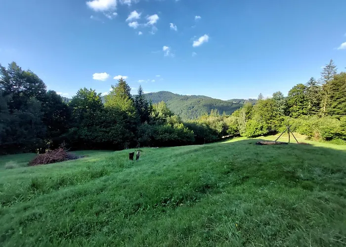 Tree House With Private Meadow In The Middle Of The Forest 营地 Bytca