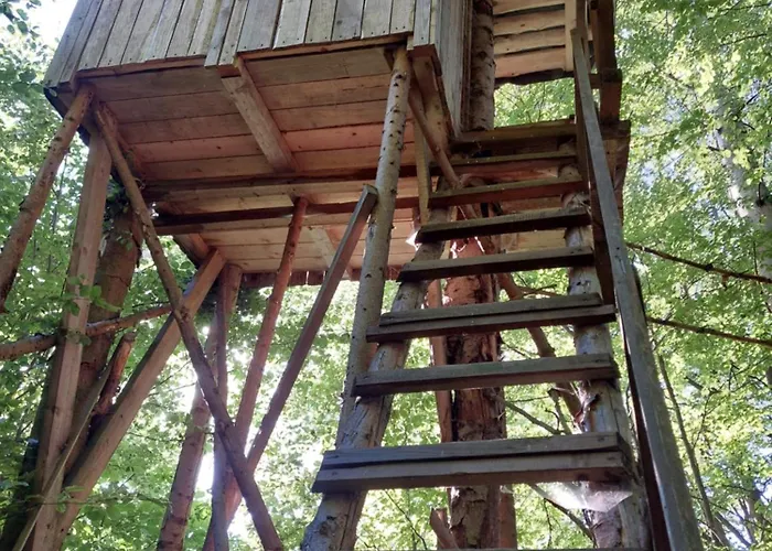 Tree House With Private Meadow In The Middle Of The Forest