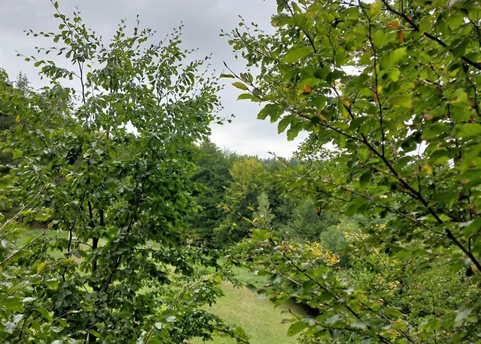 Κάμπινγκ Tree House With Private Meadow In The Middle Of The Forest *