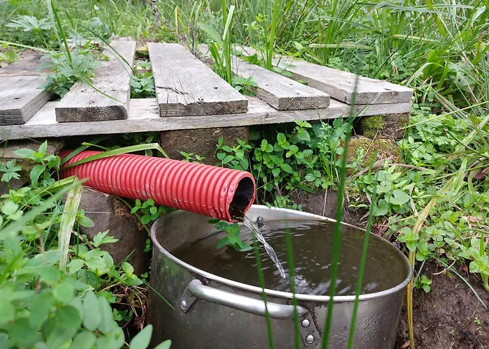 营地 Tree House With Private Meadow In The Middle Of The Forest Bytca