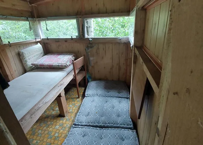 Tree House With Private Meadow In The Middle Of The Forest 营地 Bytca