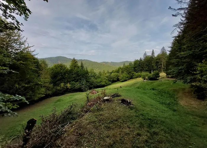 营地 Tree House With Private Meadow In The Middle Of The Forest Bytca