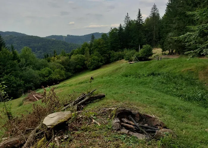 Tree House With Private Meadow In The Middle Of The Forest Κάμπινγκ *